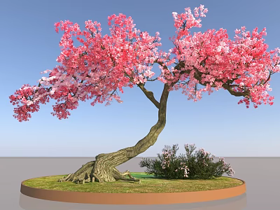Pink Blossom Tree With Curved Trunk Exposed Roots Small Shrubs Under Blue Sky 3d model