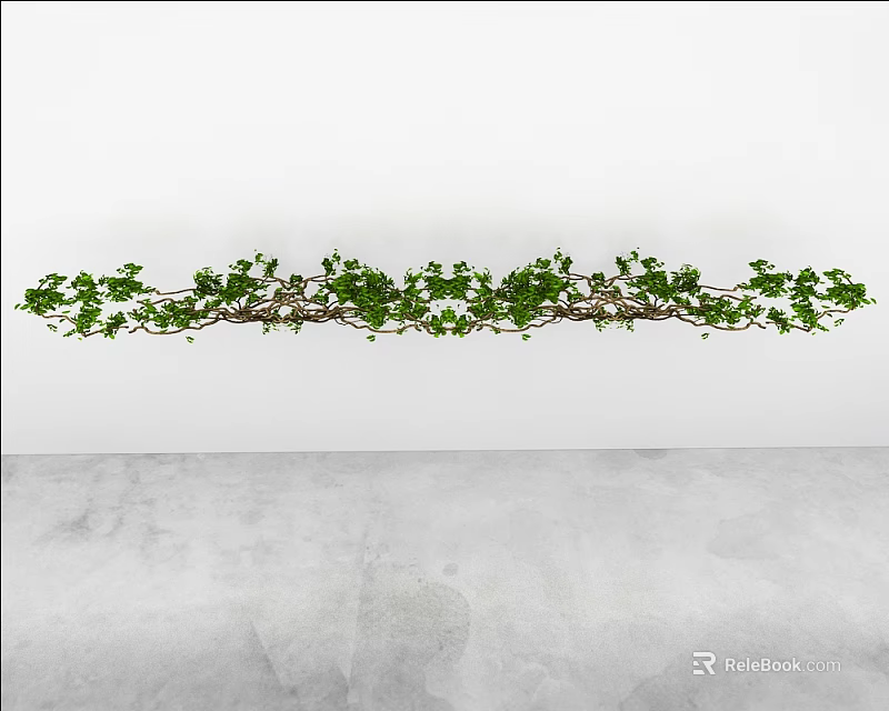 Lush Green Leafy Vine with Fresh Leaves Growing Along White Background Surface 3d model 