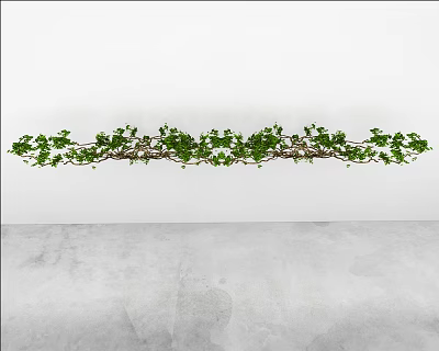 Lush Green Leafy Vine with Fresh Leaves Growing Along White Background Surface 3d model