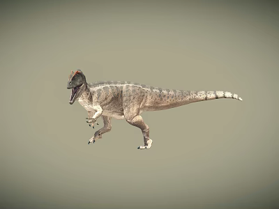 animal dinosaur 3d model animal dinosaur 3d model