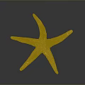 Yellow Starfish With Textured Surface On Gray Background Showing Reflection 3d model