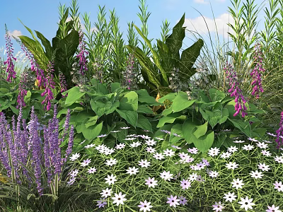 Vibrant Garden Display With Purple Pink And White Flowers Large Green Leaves Under Blue Sky 3d model