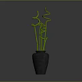 Elegant Green Twisted Bamboo Stems in Dark Ceramic Vase for Home Decor