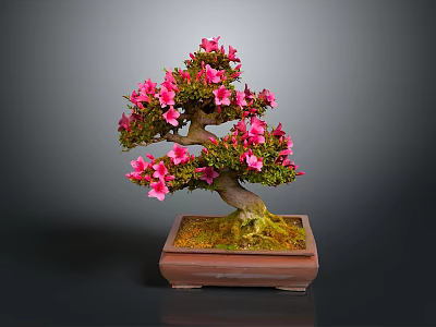 Decorative Bonsai Plant With Pink Flowers In Square Ceramic Pot And Moss 3d model