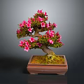 Decorative Bonsai Plant With Pink Flowers In Square Ceramic Pot And Moss