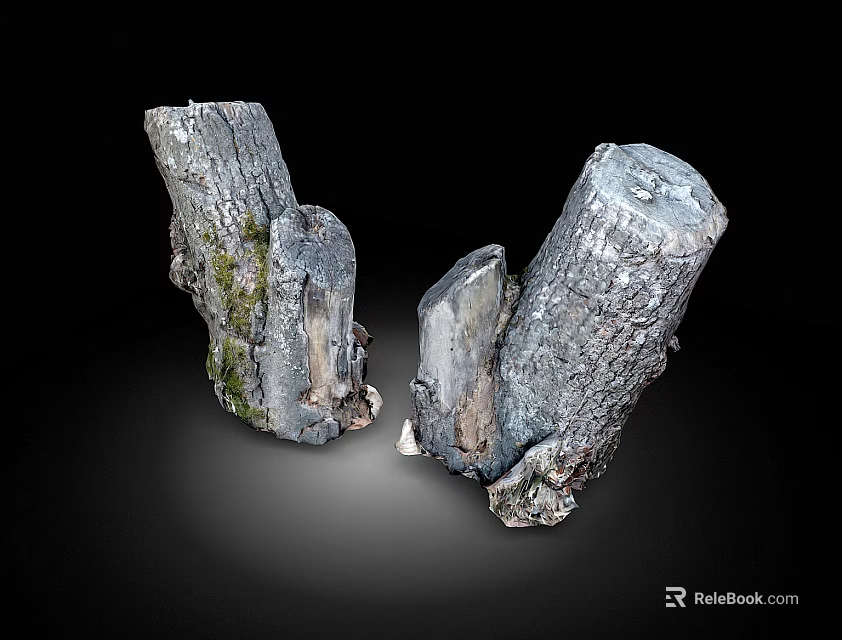 Natural Wood Tree Stumps With Bark Texture And Moss Accents For Rustic Decor 3d model 