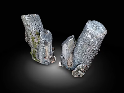 Natural Wood Tree Stumps With Bark Texture And Moss Accents For Rustic Decor 3d model