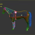 Brown Horse In Blue Blanket With Leg Wraps Yellow Trim And Straps