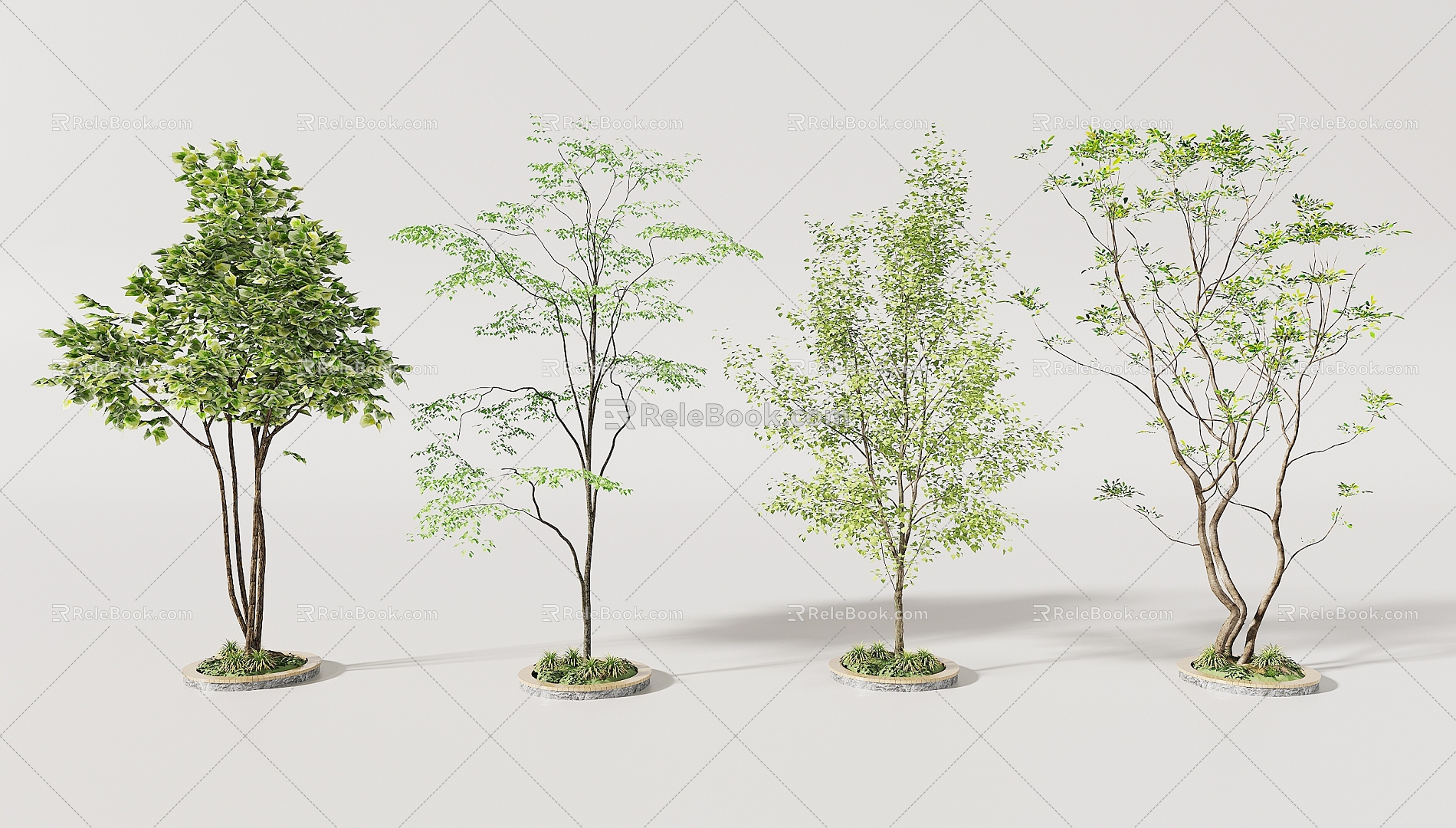 arbor trees 3d model