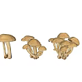 Various Light Brown Mushrooms With Different Shapes On Gray Background 3d model