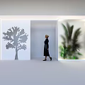 Modern Shop Window Display With Tree Shadow Green Plants And Bright Lighting