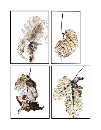 Modern Decorative Painting Simple Leaf Decorative Painting 3d model