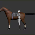 Brown horse with saddle numbered 8 and jockey in white uniform standing with outstretched arms