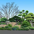 Modern shrubs 3d model