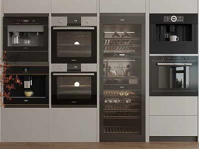 Modern Kitchen With Built in Oven Coffee Machine Wine Cooler And Sleek Electrical Appliances 3d model
