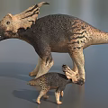 Realistic Triceratops Reptile Models Adult And Juvenile With Textured Skin