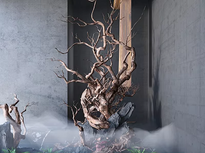 Indoor Landscape Featuring Large Dried Tree Branches Mist Stones Green Plants Gray Walls And Wooden Accents 3d model