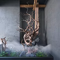 Indoor Landscape Featuring Large Dried Tree Branches Mist Stones Green Plants Gray Walls And Wooden Accents