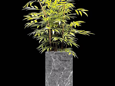 Bonsai Plant with Lush Green Leaves in Square Gray Marble Pot 3d model