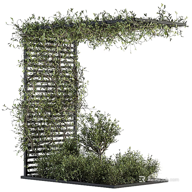 Lush Green Vines Growing On Wooden Lattice For Natural Garden Decor 3d model 