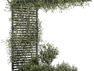 Lush Green Vines Growing On Wooden Lattice For Natural Garden Decor 3d model