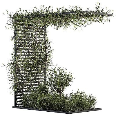 Lush Green Vines Growing On Wooden Lattice For Natural Garden Decor 3d model