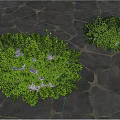 moss cucurbit moss su model vray 3d model