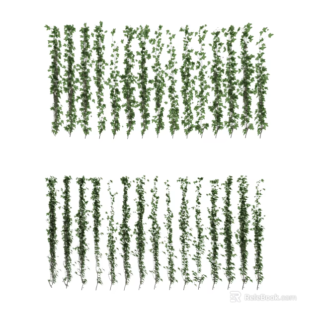 Lush Green Hanging Vines With Fresh Leaves For Indoor And Outdoor Decoration 3d model 