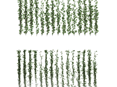 Lush Green Hanging Vines With Fresh Leaves For Indoor And Outdoor Decoration 3d model