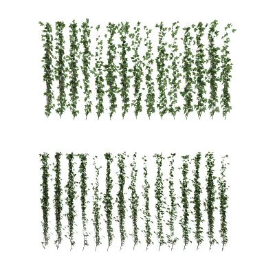 Lush Green Hanging Vines With Fresh Leaves For Indoor And Outdoor Decoration 3d model