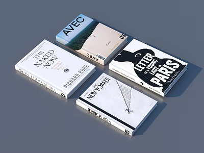Modern Books And Magazines With New York Paris Themes And Minimalist Cover Designs 3d model