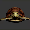 Colorful Sea Turtle With Textured Red Shell And Yellow Patterned Limbs On Dark Background