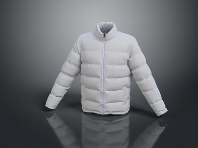cotton-padded jacket down jacket goose down jacket thick clothes thick cotton-padded clothes autumn and winter clothing winter clothing autumn clothing 3d model