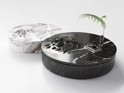 Modern Black and White Marble Coffee Tables with Small Plant and Tray 3d model