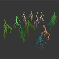 Detailed View of Natural Tree Roots with Intricate Branching Network Structures