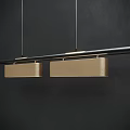 Sleek Square Brass Metallic Pendant Light With Thin Hanging Rod Design 3d model