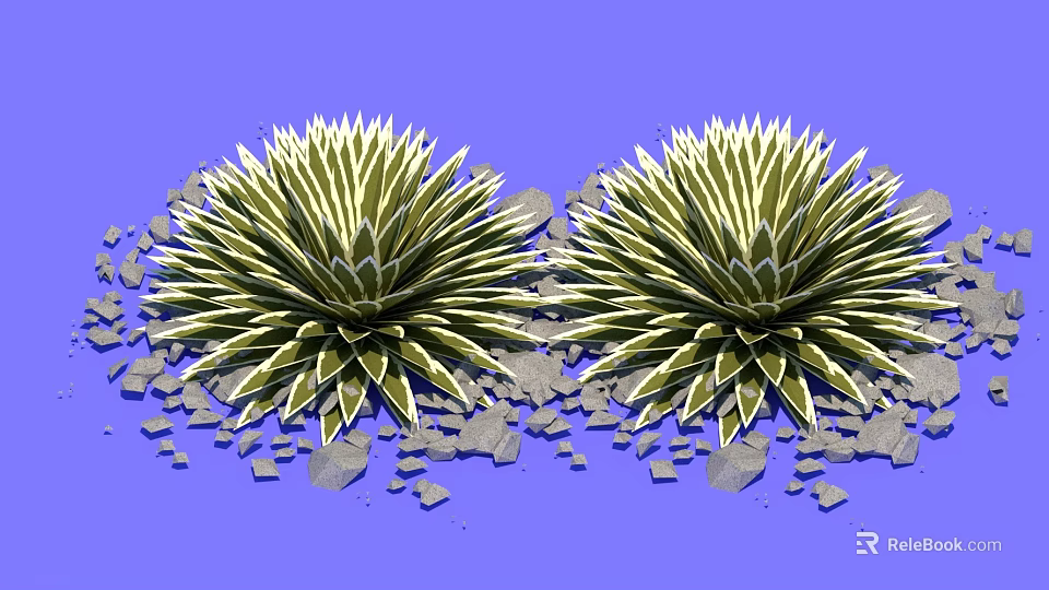 Agave Plants With Spiky Green And Yellow Leaves On Blue Background And Gravel Stones 3d model 