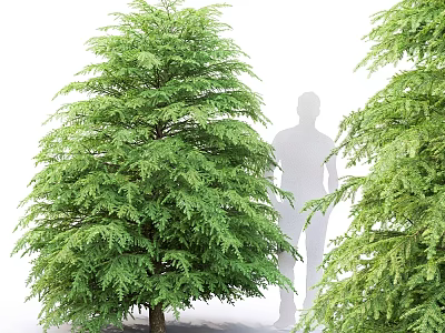 Two Lush Green Garden Trees as Decorative Features with Human Silhouette 3d model