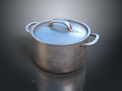 Silver Cooking Pot With Lid And Dual Handles For Kitchen Use 3d model