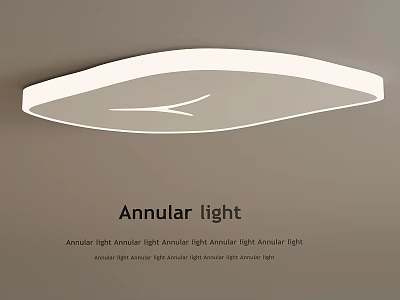 Modern Style Annular Ceiling Light With Sleek White Design And Bright Illumination 3d model