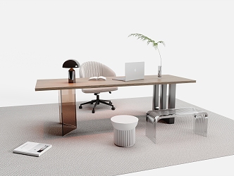 Modern Desk and Chair Combination Finished Desk Office Chair Desk Lamp Laptop Carpet Green Plant 3d model