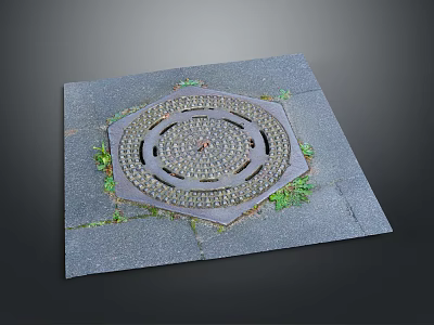 Octagonal Metal Manhole Cover on Gray Concrete Pavement with Grass Growing in Cracks 3d model