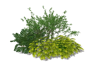 Lush Green Shrubs With Diverse Leaf Shapes For Outdoor Garden Landscaping 3d model