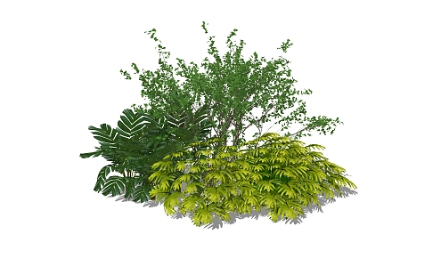 Modern Shrub 3d model