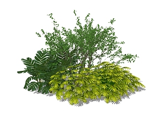 Modern Shrub 3d model