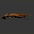Aquatic Insect With Brown Body Distinct Wings Long Legs Shiny Appearance On Dark Gradient Background