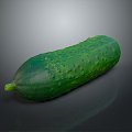 White Cucumber Water Cucumber Dry Cucumber Green Cucumber South China Cucumber European Greenhouse Cucumber Fruit Cucumber 3d model