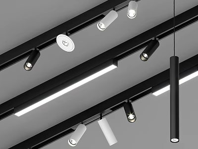 Modern Interior Ceiling Lighting Design With Adjustable Downlights And Spotlights Fixtures 3d model