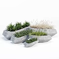 Bonsai Potted Plants In Stylish Irregular Stone Planters With Green Foliage And Grasses