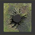 Natural Wooden Tree Stump With Exposed Roots And Green Mossy Grass